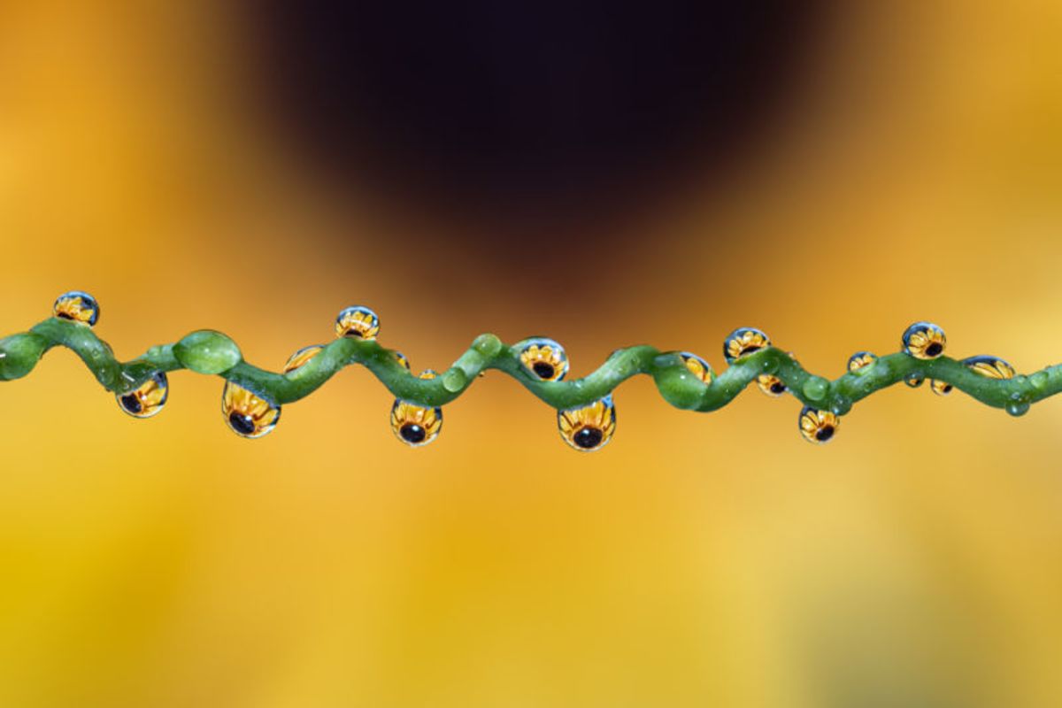 Em Cada Gota