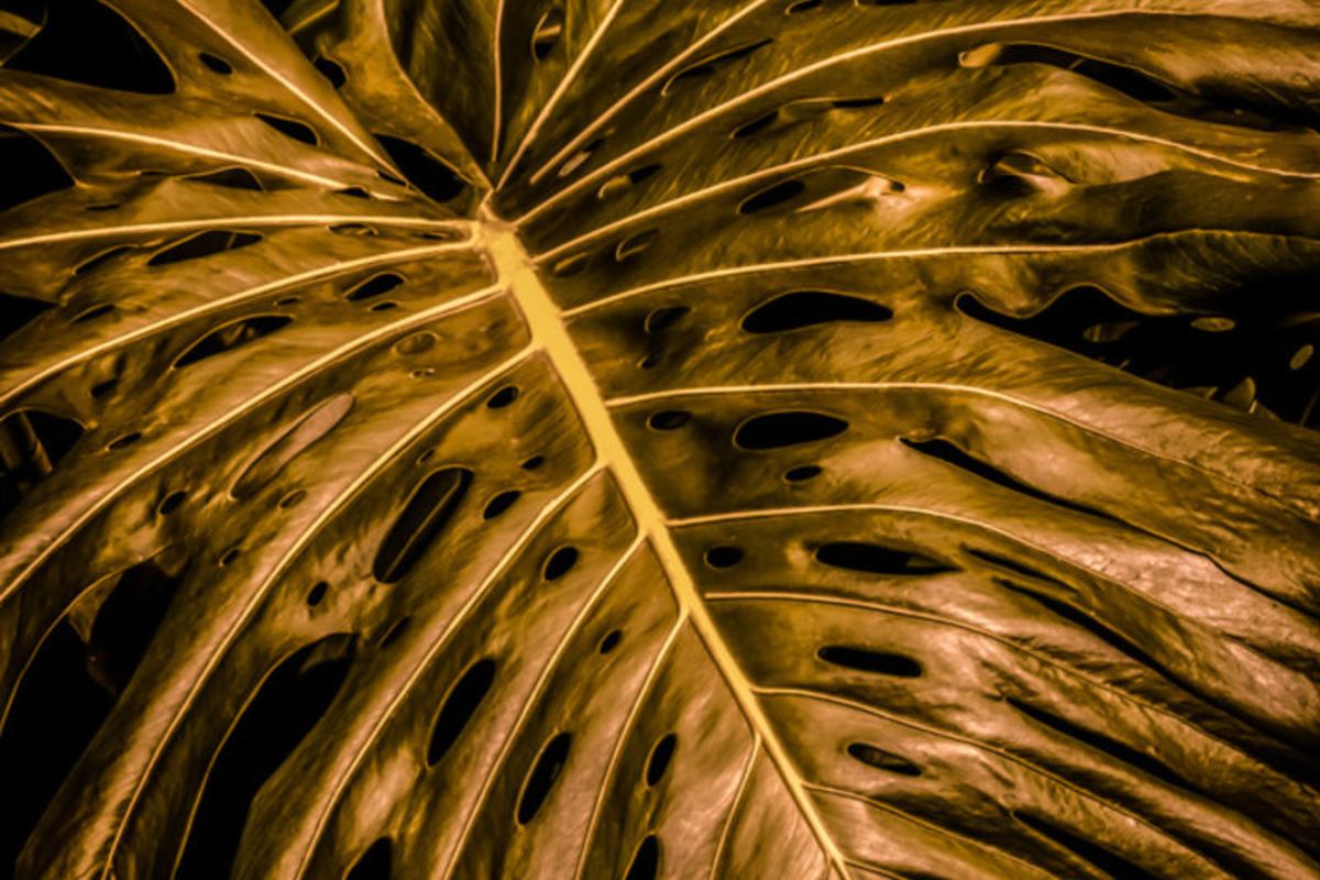 Harmonia em Verde e Dourado