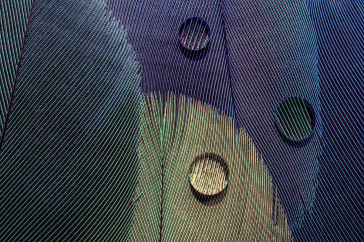 The Essence of Detail