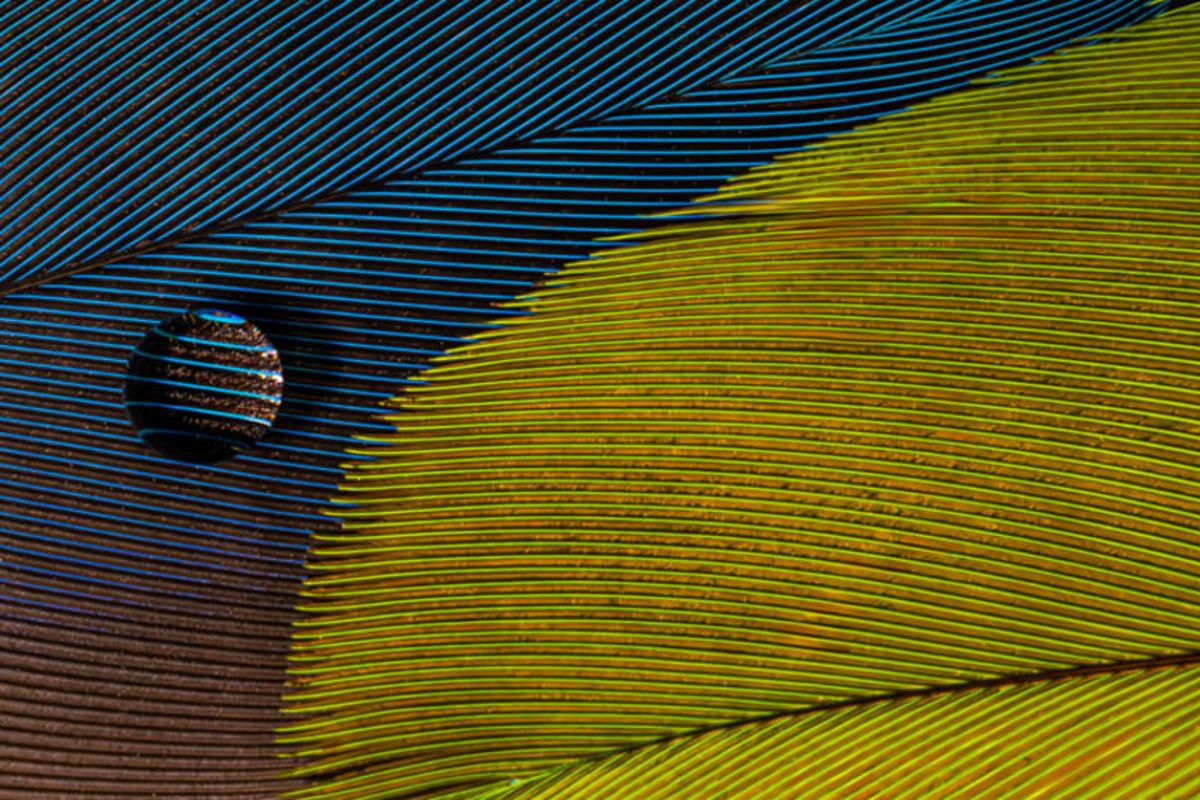 Fragmentos de lo invisible