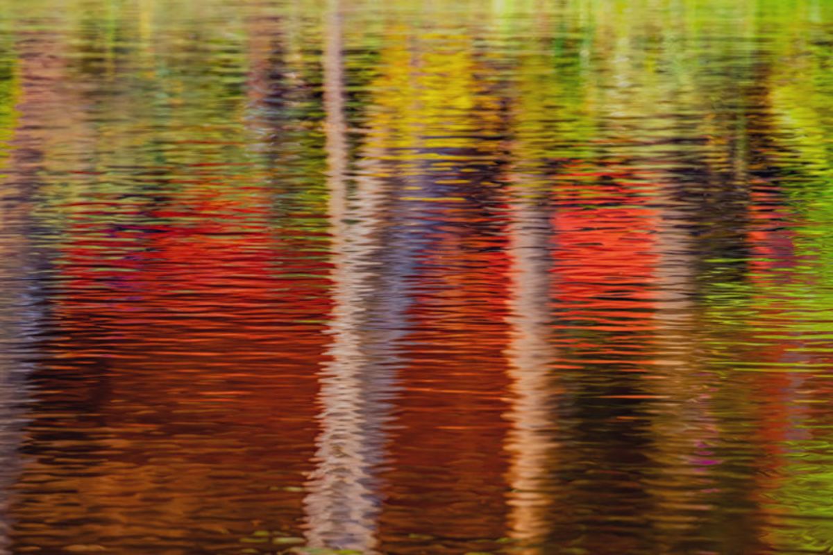 Rio das Cores