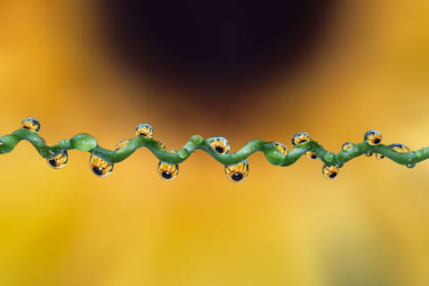 In Every Drop