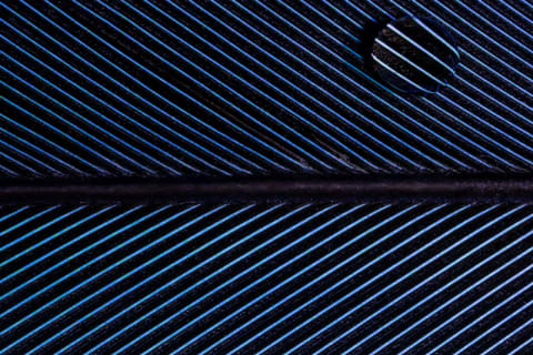 Geometria da Natureza