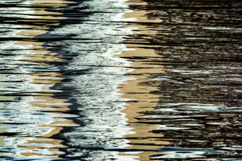 Echoes in Reflection