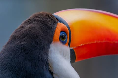 La mirada de los colores