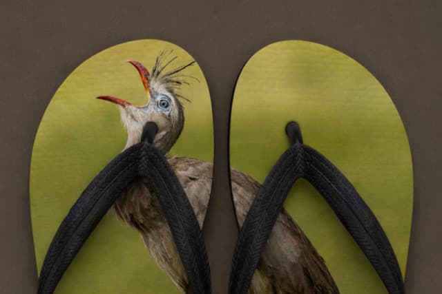 La naturaleza inspira cada paso.