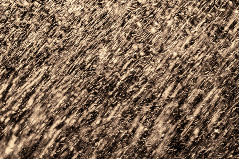 A macro exploration of light captured in motion. This piece transforms water droplets into suspended amber spheres, creating a deep and luxurious visual texture. Ideal for environments seeking a balance between coolness and warmth.