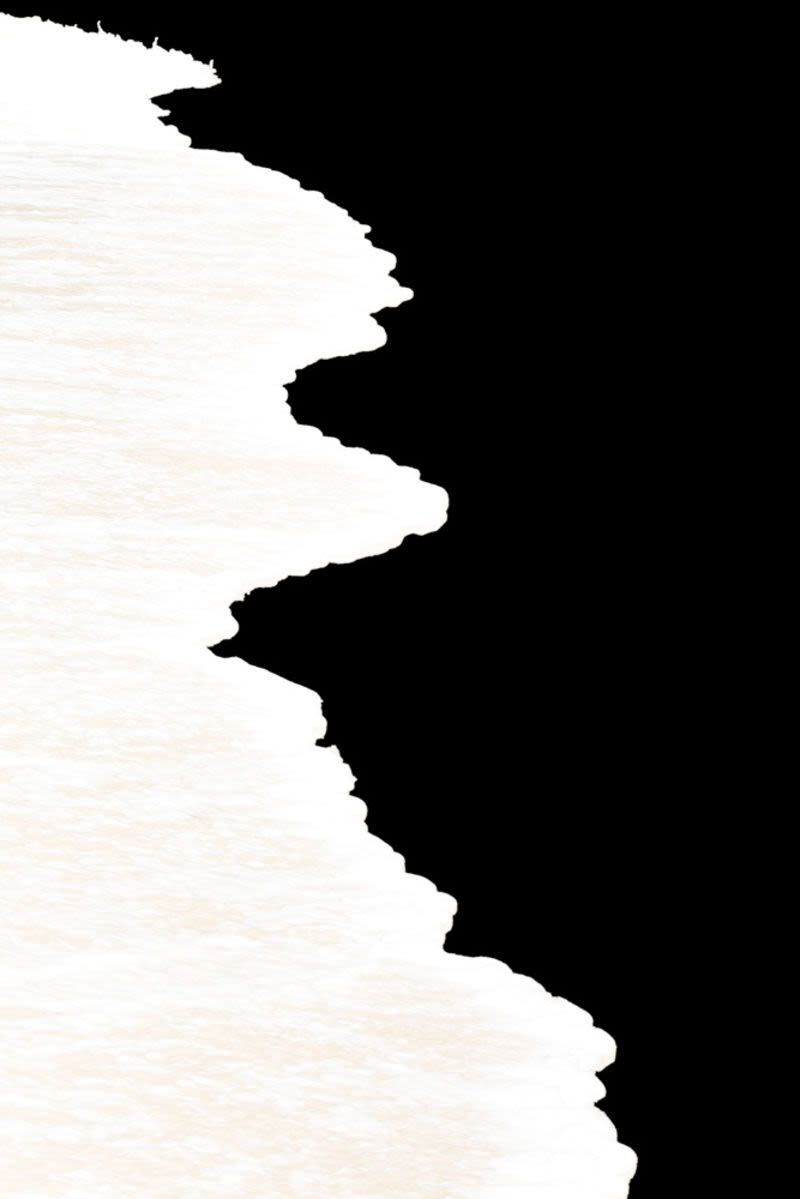 Líneas orgánicas, texturas suaves y contrastes marcados. Una composición que transforma un simple detalle de la naturaleza en una expresión visual de elegancia y abstracción.