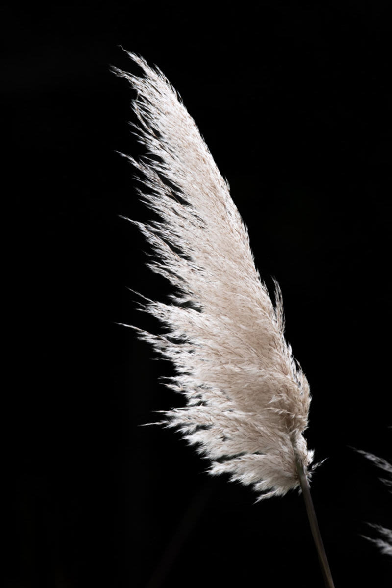 Nem sempre é preciso mostrar tudo. Às vezes, basta um fragmento de beleza para despertar a imaginação e preencher o silêncio com encanto.