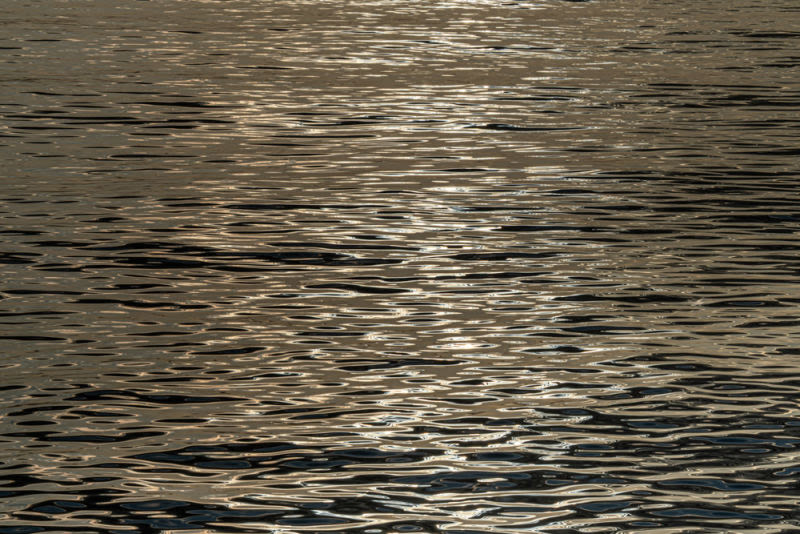 Há tardes em que a luz não se despede. Ela permanece flutuando sobre as águas, como um sussurro dourado que o tempo se recusa a levar.