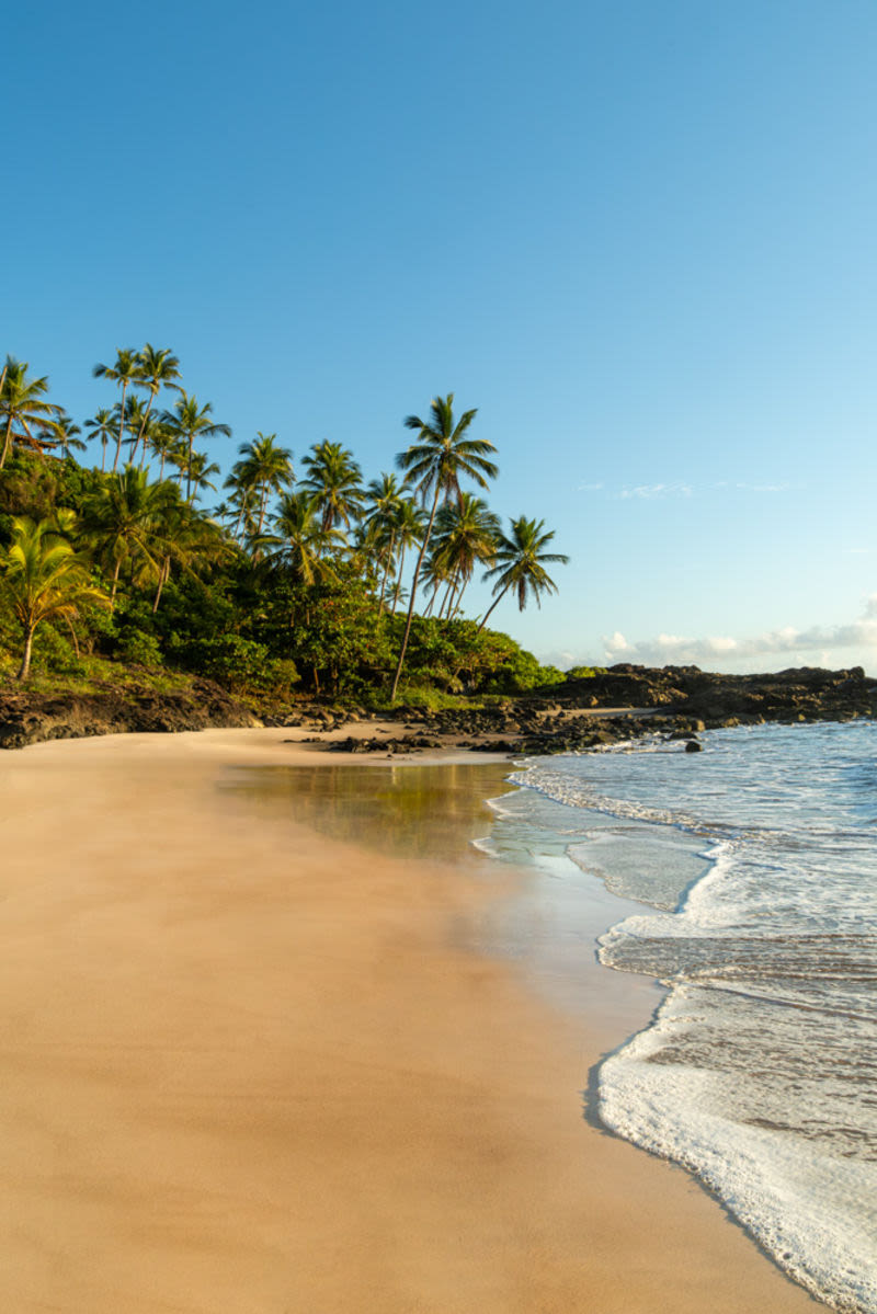 A curva suave da praia, o azul do mar e o verde dos coqueiros criam um cenário de rara serenidade. Uma obra que transmite leveza, equilíbrio e a beleza atemporal dos refúgios naturais mais inspiradores.