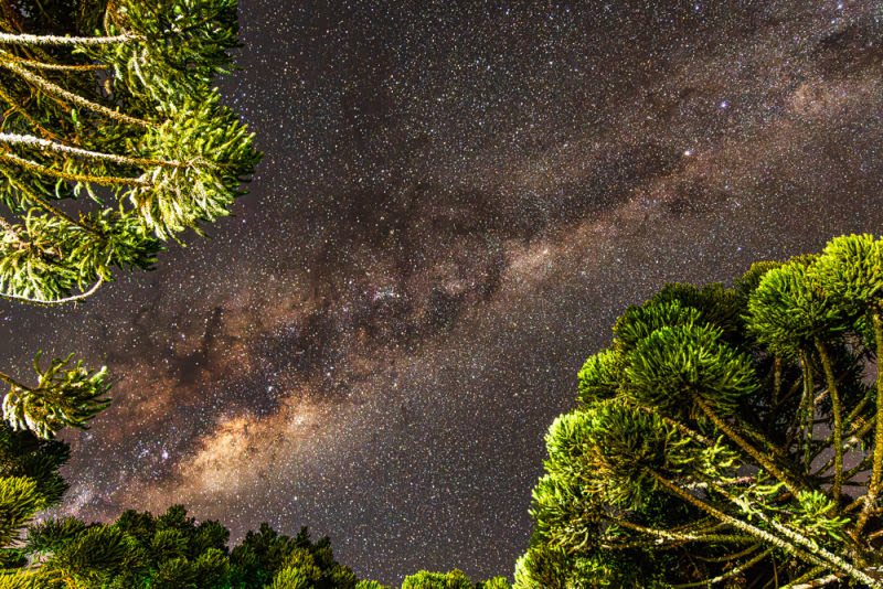 Between the crowns of the araucarias, the Milky Way draws a spectacle of light that crosses the silence of the night. A work that reveals the grandeur of the universe and invites us to contemplate the infinite beauty that surrounds us.