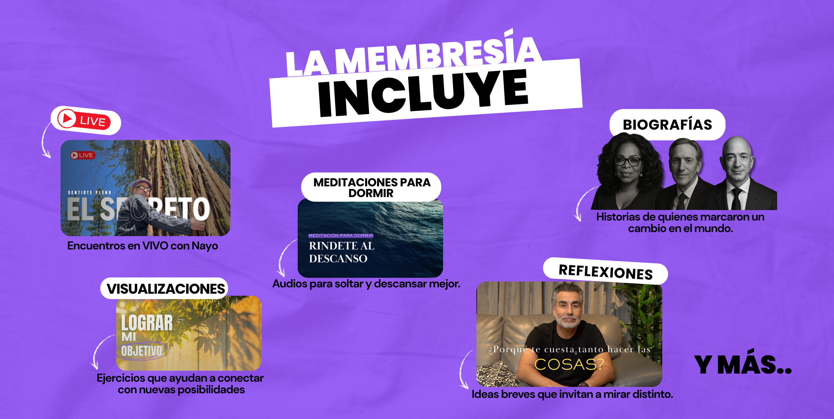 Descripción de la imagen