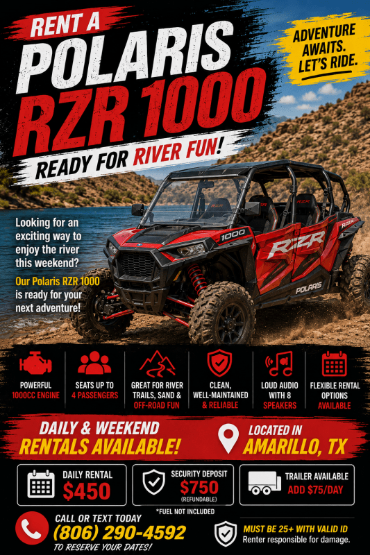 2017 Polaris RZR 1000