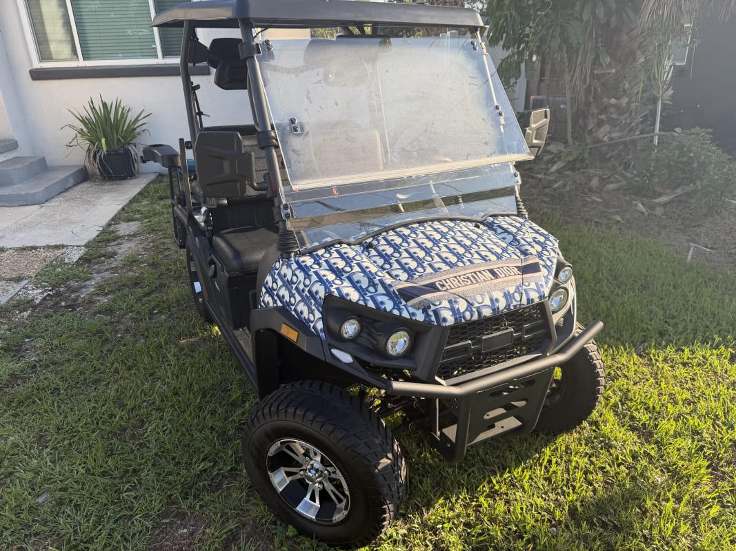 4-Passenger Street-Legal Golf Cart - Tampa photo 2