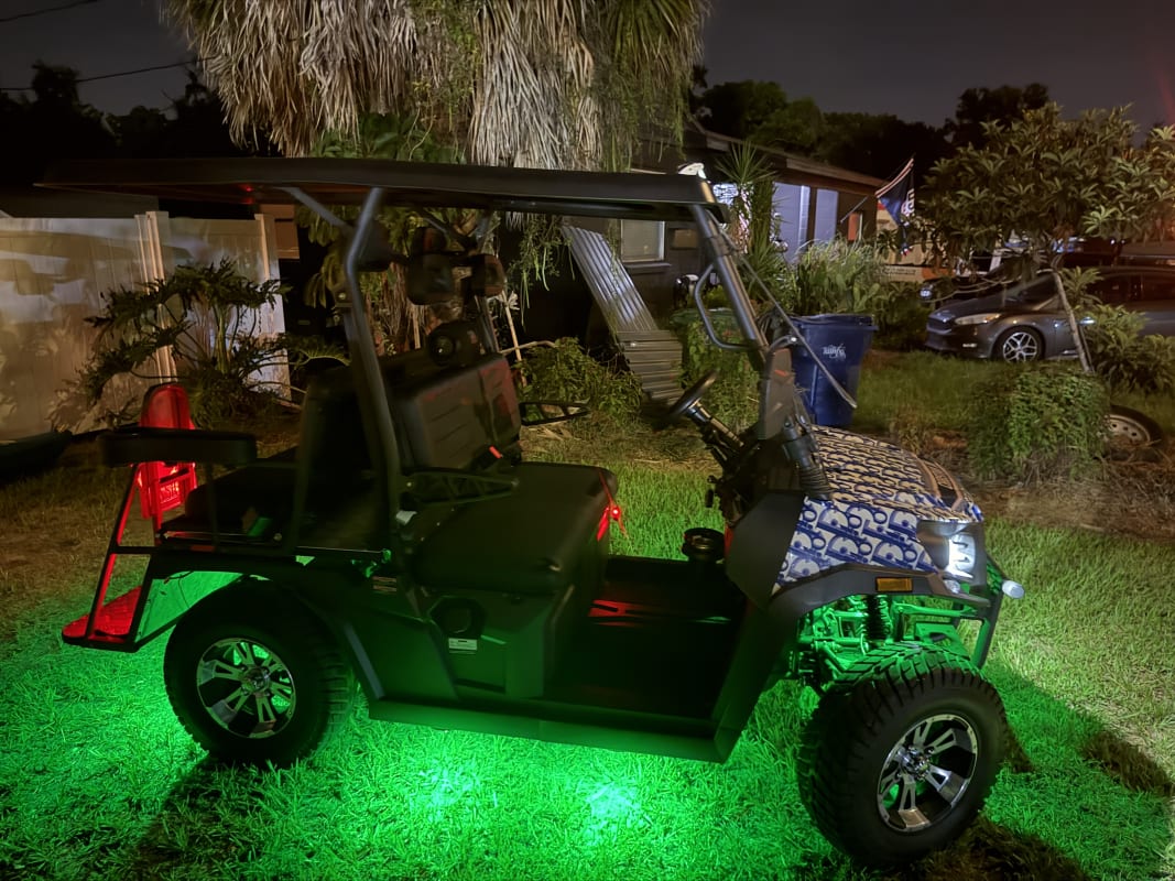 4-Passenger Street-Legal Golf Cart - Tampa photo 3