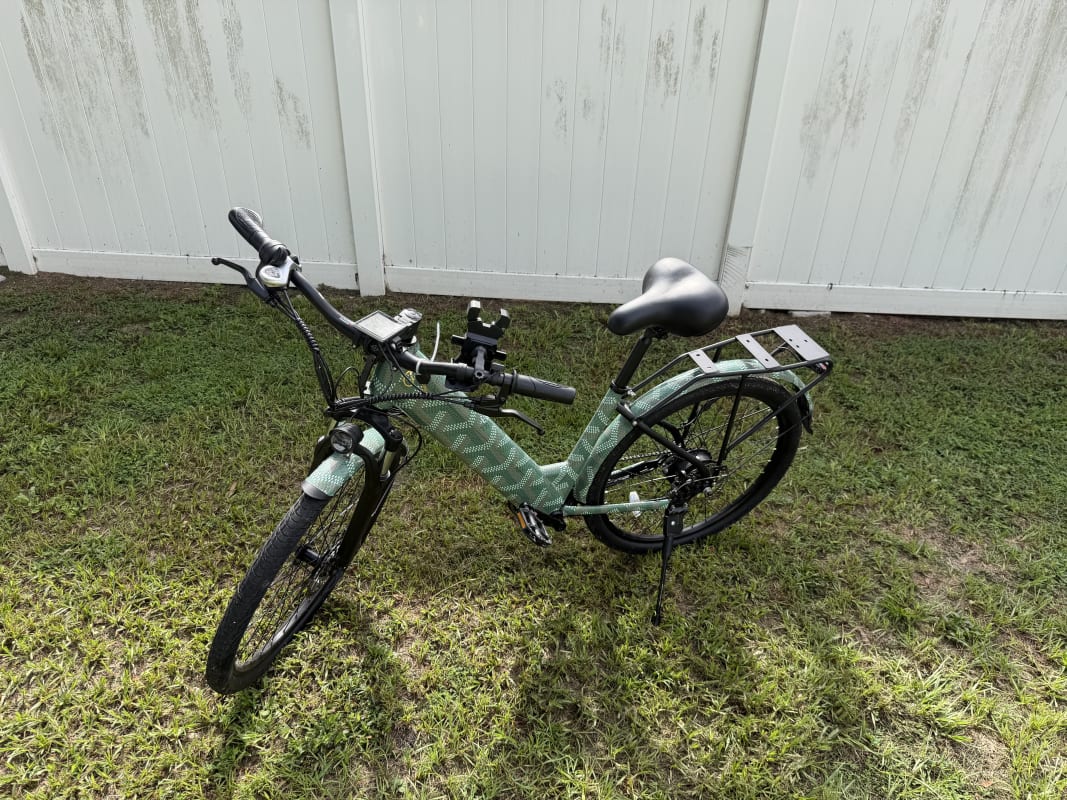 2026 Custom Electric Bike - Tampa - Bike 1