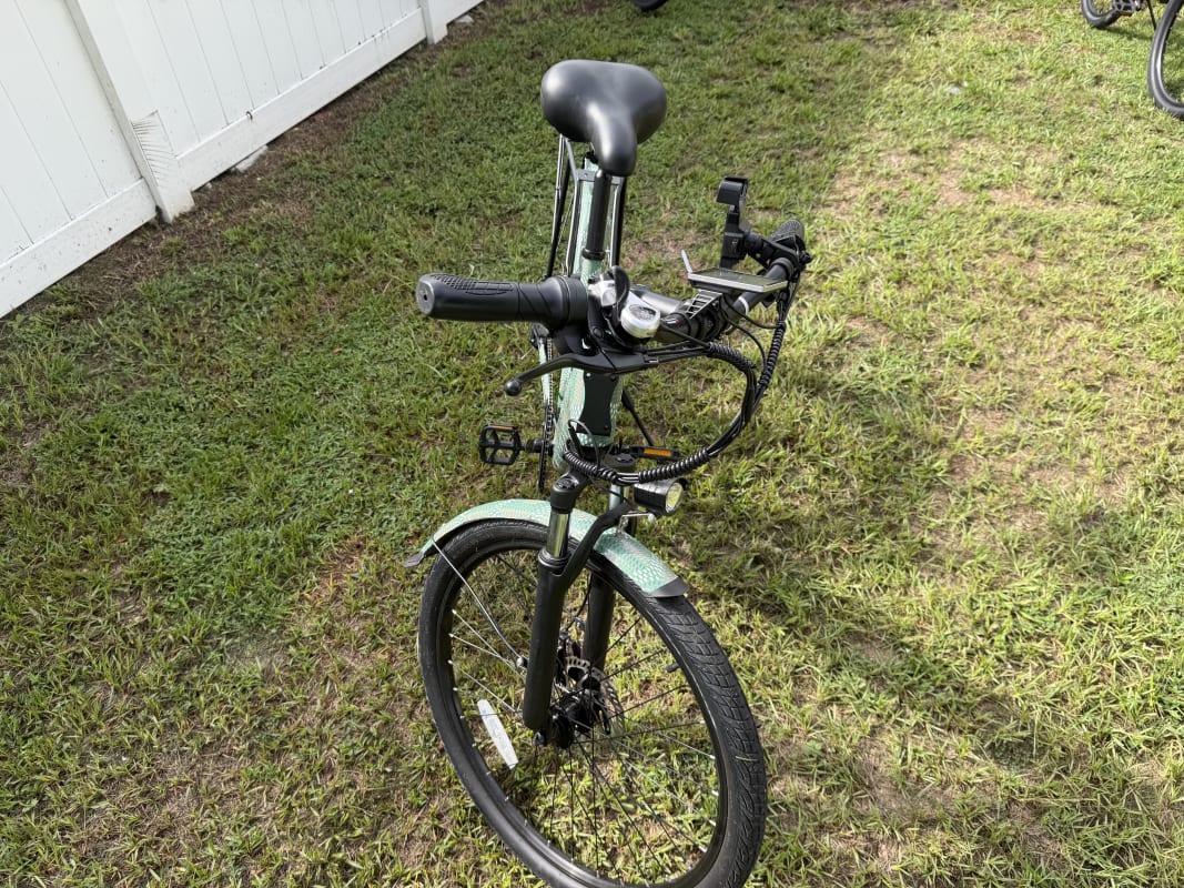 2026 Custom Electric Bike - Tampa - Bike 1 photo 2