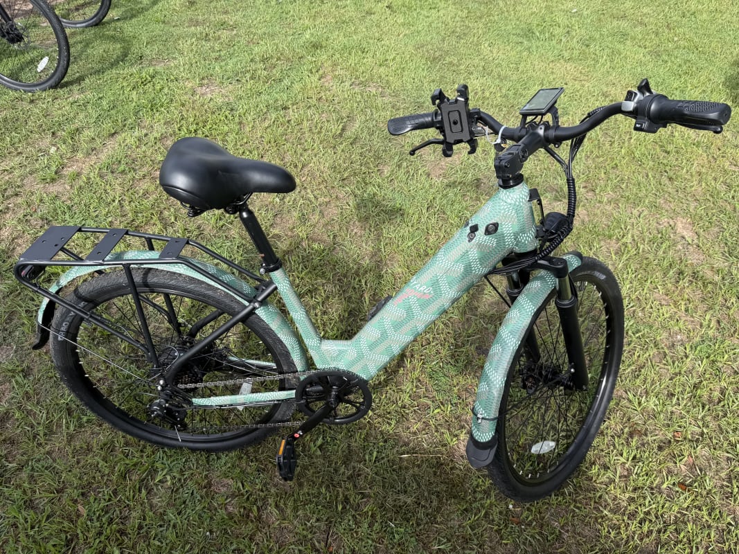 2026 Custom Electric Bike - Tampa - Bike 1 photo 3