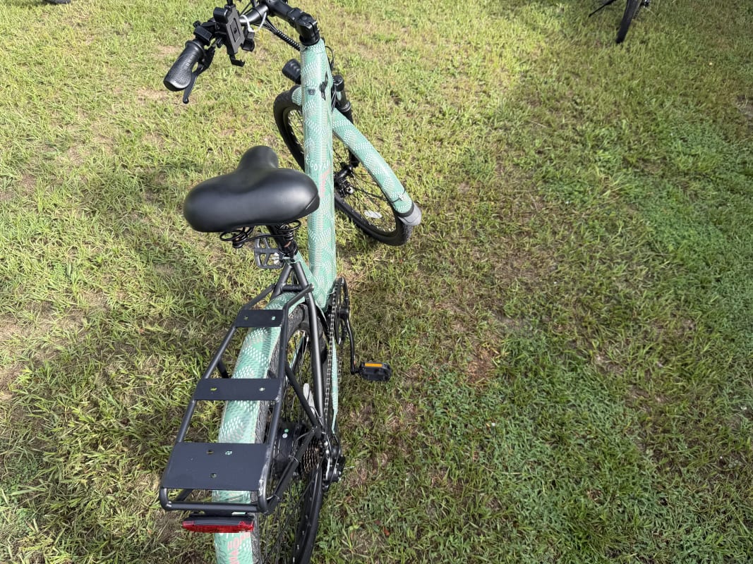 2026 Custom Electric Bike - Tampa - Bike 1 photo 4