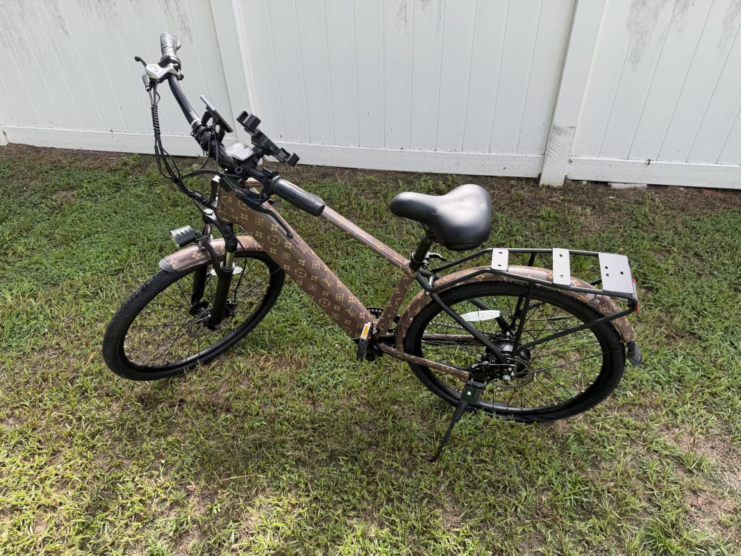 2026 Custom Electric Bike - Tampa - Bike 2