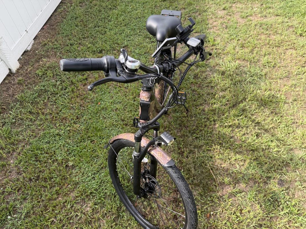 2026 Custom Electric Bike - Tampa - Bike 2 photo 2