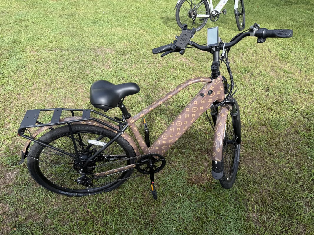 2026 Custom Electric Bike - Tampa - Bike 2 photo 3