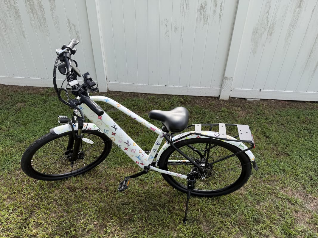 2026 Custom Electric Bike - Tampa - Bike 3