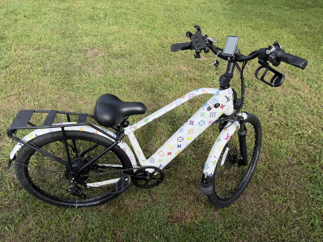 2026 Custom Electric Bike - Tampa - Bike 3 photo 3