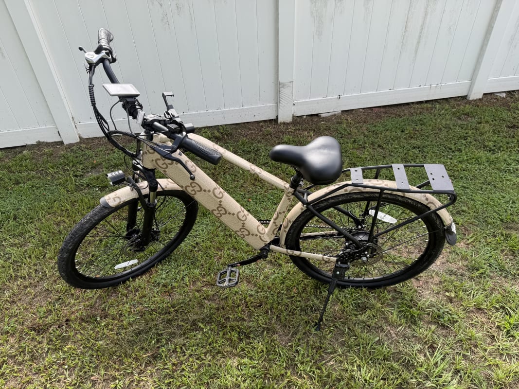 2026 Custom Electric Bike - Tampa - Bike 4
