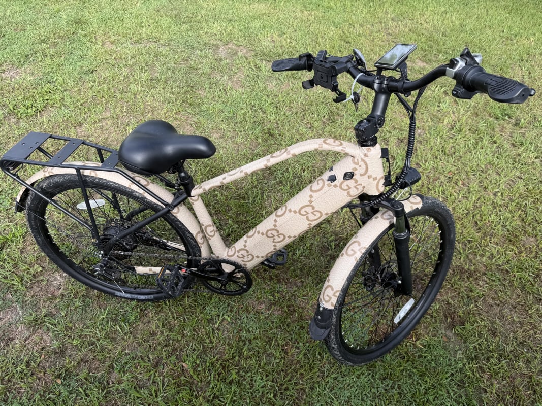 2026 Custom Electric Bike - Tampa - Bike 4 photo 3