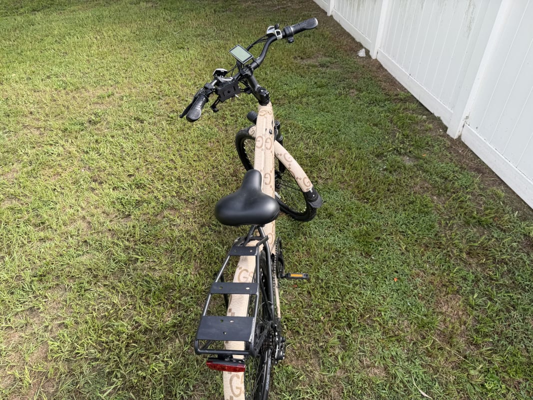 2026 Custom Electric Bike - Tampa - Bike 4 photo 4