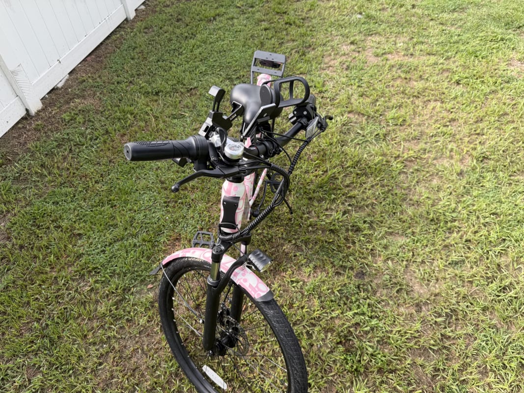 2026 Custom Electric Bike - Tampa - Bike 6 photo 2