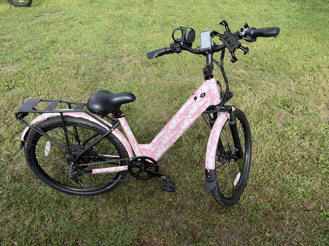 2026 Custom Electric Bike - Tampa - Bike 6 photo 3