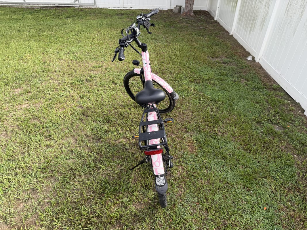 2026 Custom Electric Bike - Tampa - Bike 6 photo 4