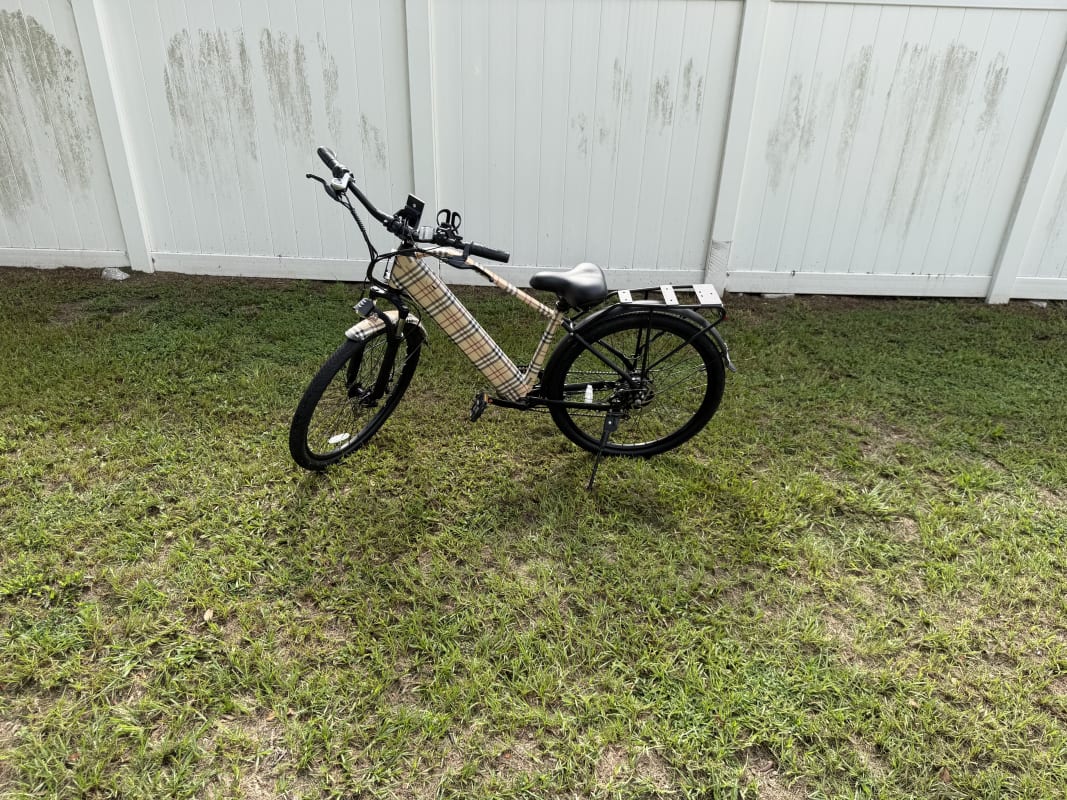 2026 Custom Electric Bike - Tampa - Bike 8