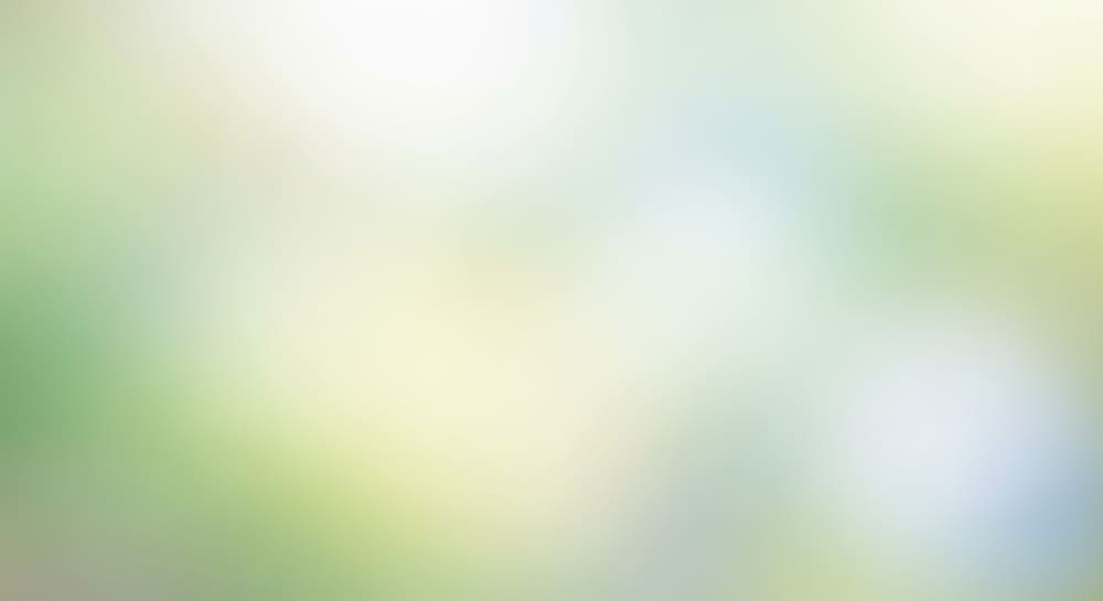 Soft Green & Yellow Gradient Background