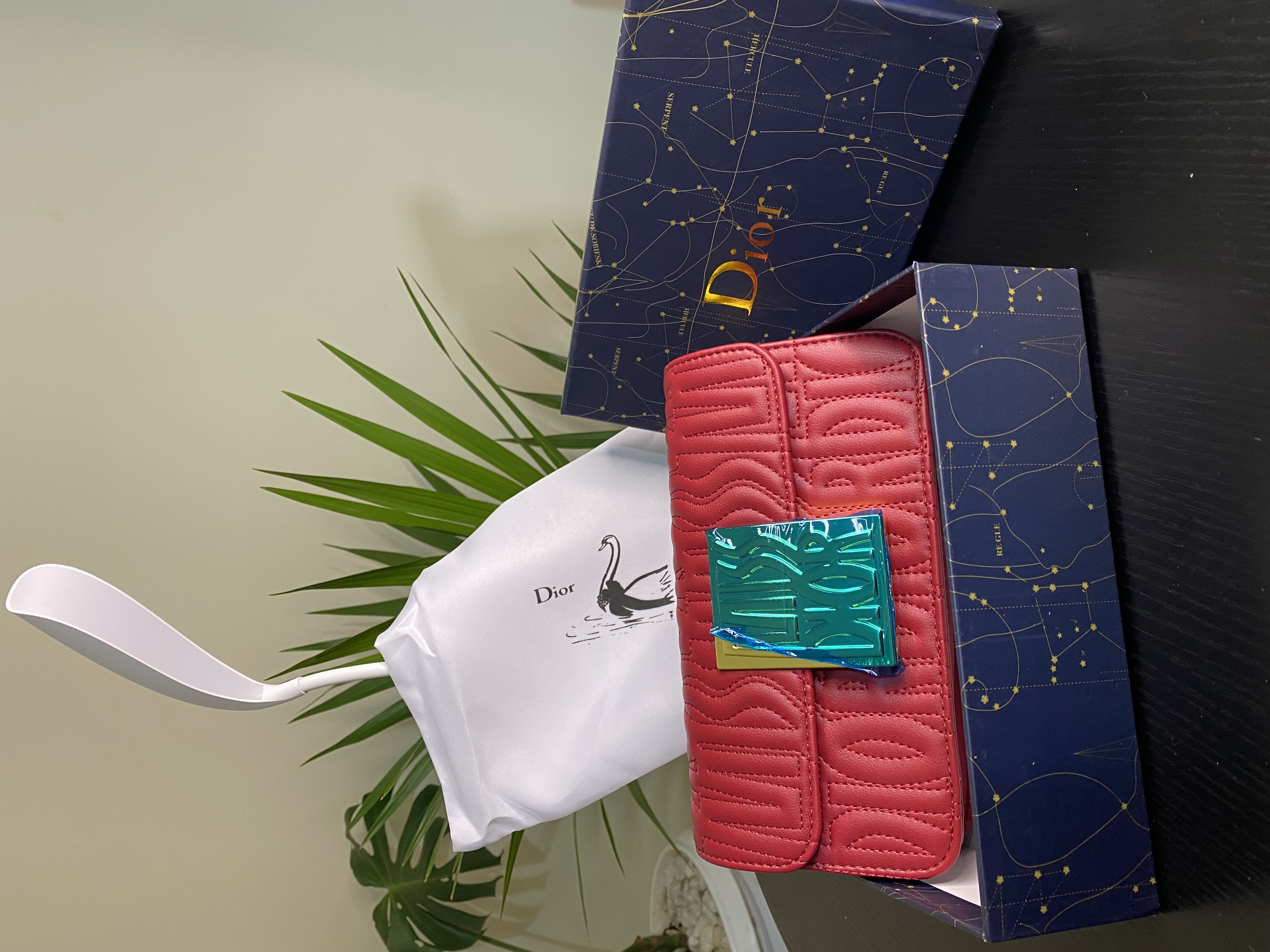 Miss Dior Flap Bag view 4