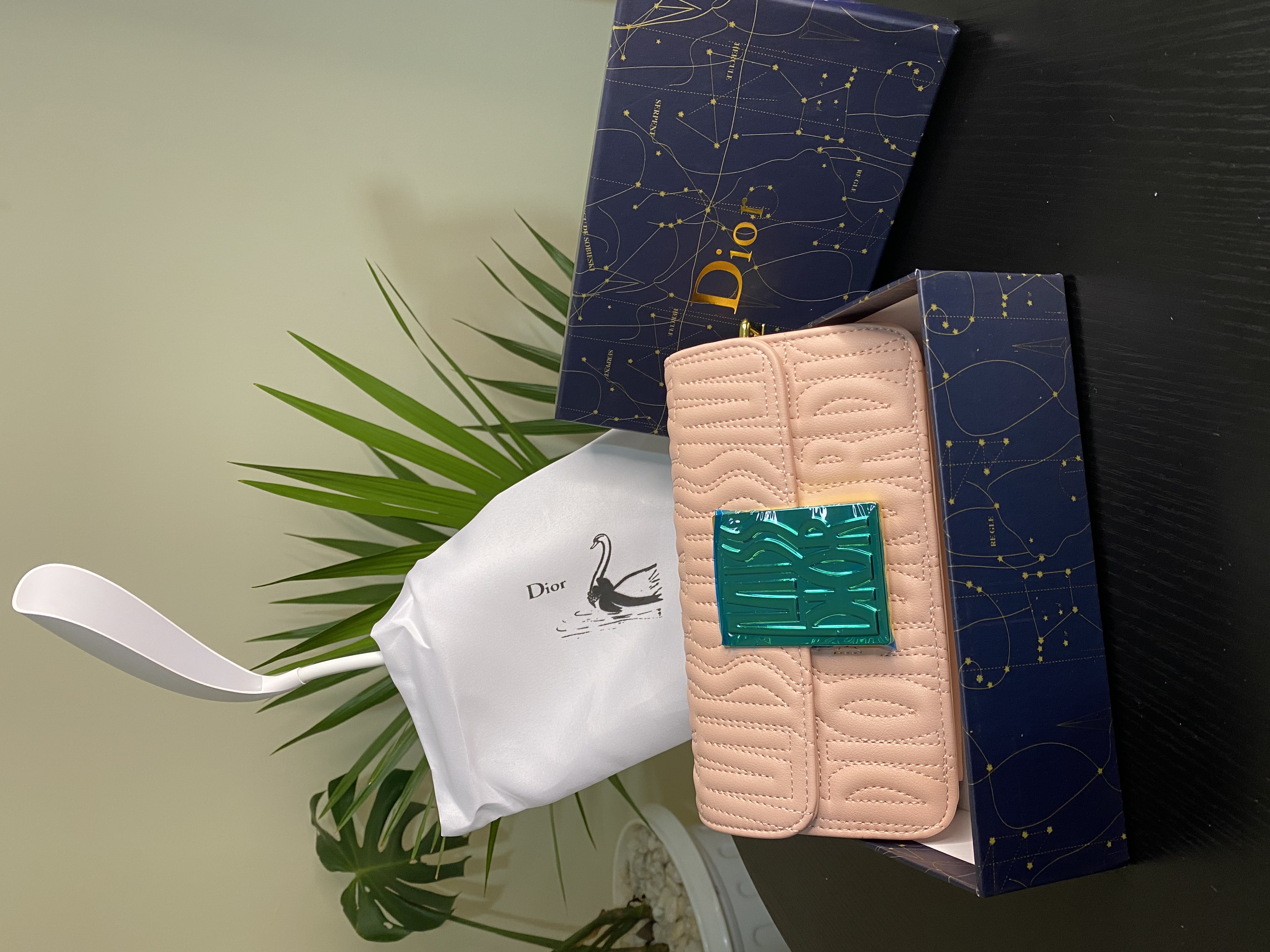 Miss Dior Flap Bag view 2