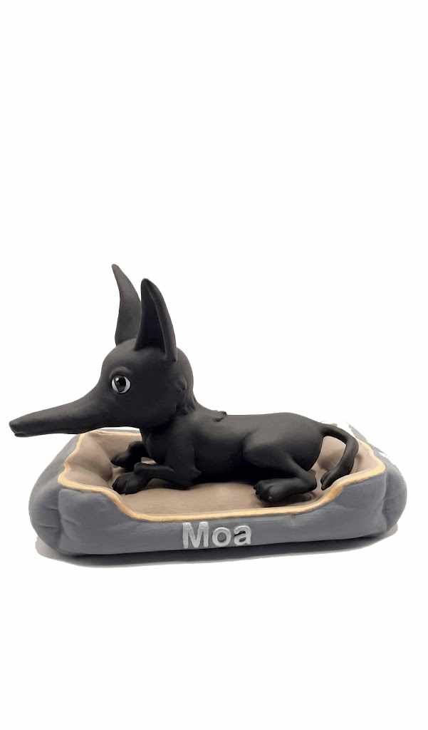 Moa