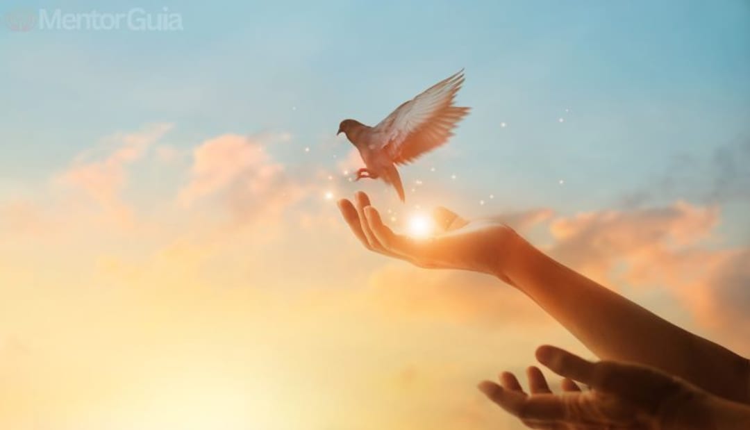 Perdonar, soltar el dolor y recuperar paz interior