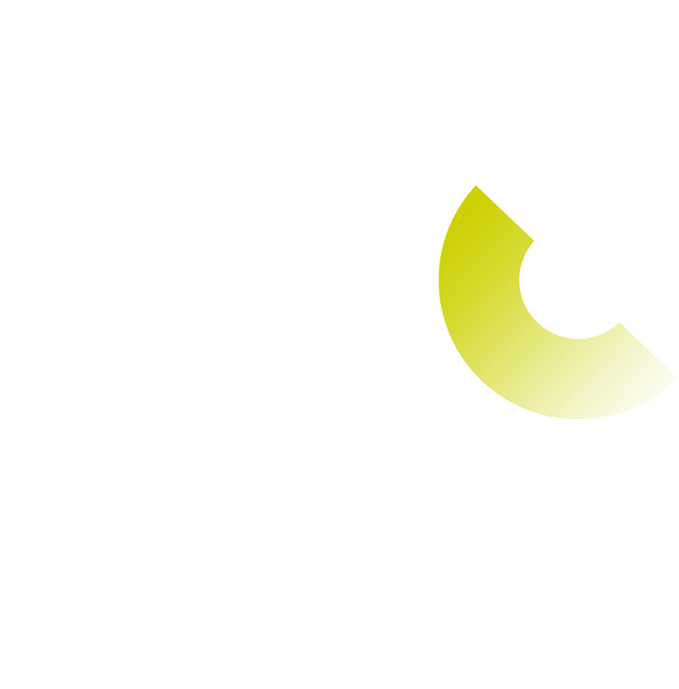 Professional mentoring