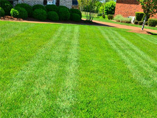 Freshly cut green lawn