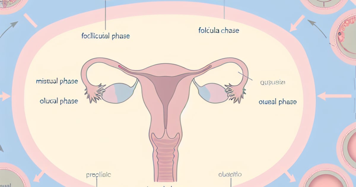 Understanding Your Cycle - A Comprehensive Guide