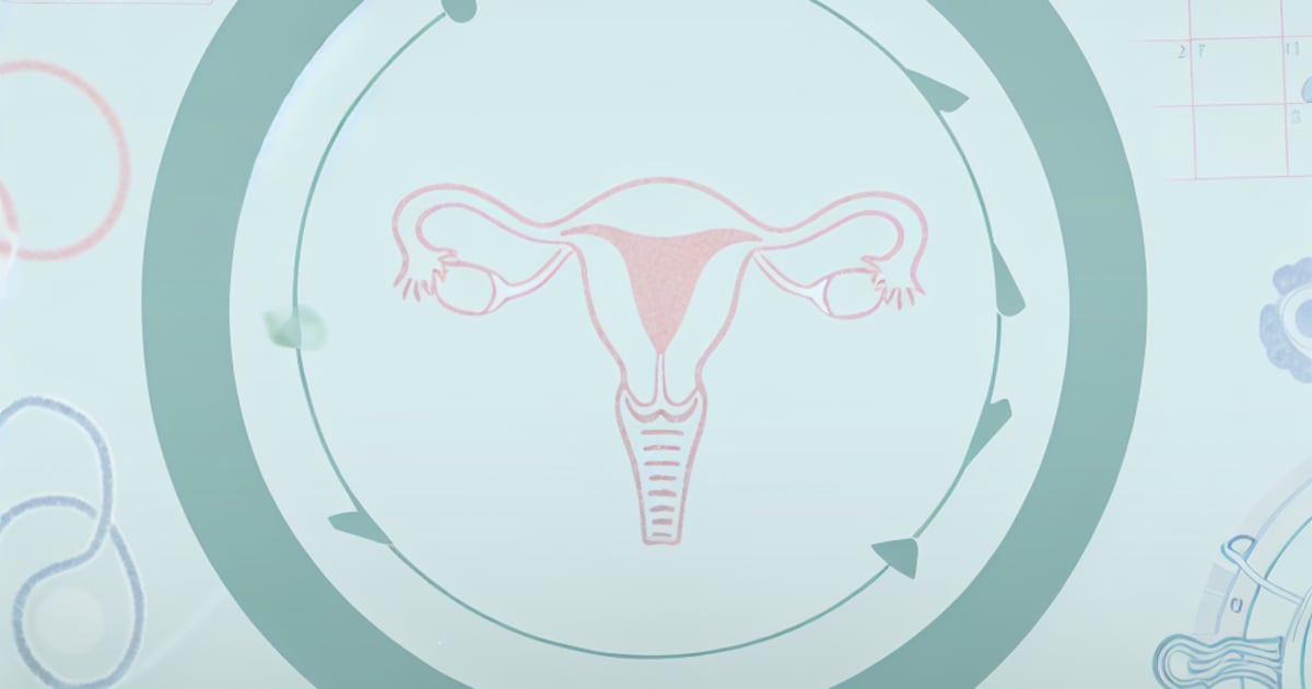 Understanding Your Cycle - A Comprehensive Guide