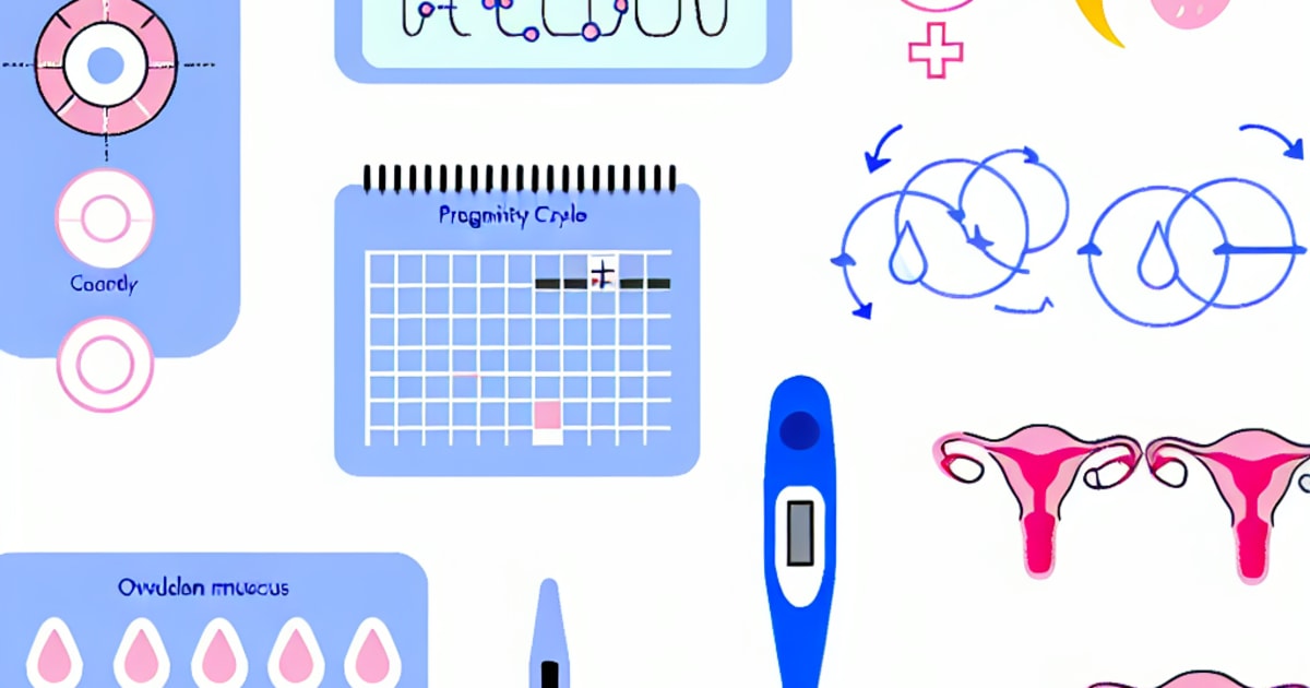Ovulation Tracking Methods - A Comprehensive Guide