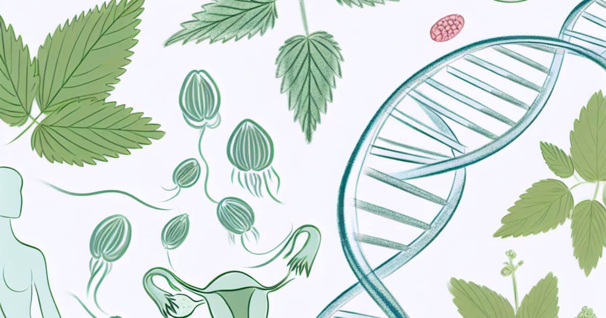 Natural Fertility Boosters - Enhance Your Fertility Naturally