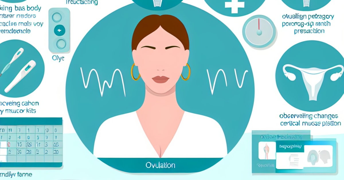 Ovulation Tracking Methods - Understanding Your Fertility Cycle