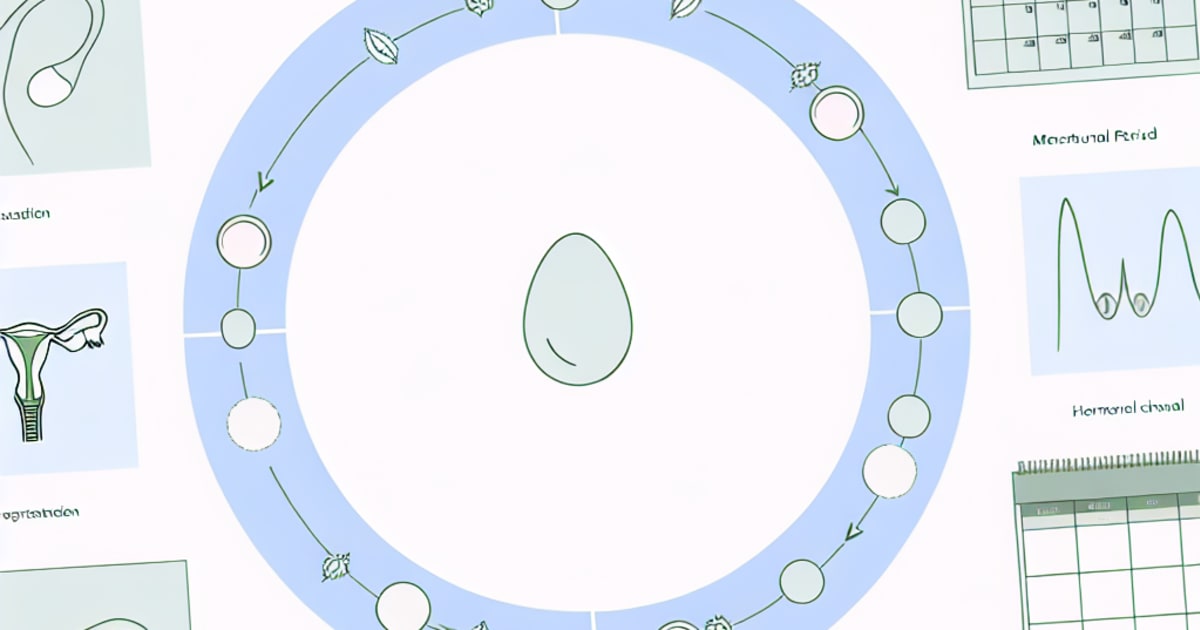 Understanding Your Cycle - A Comprehensive Guide