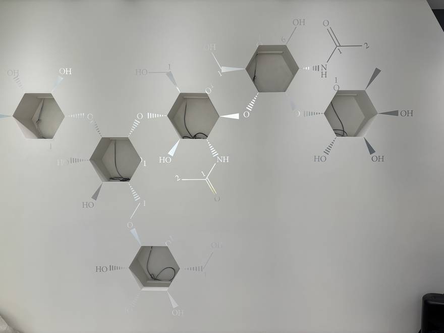 整面酵素分子結構壓花牆，把化學式變成低調的藝術